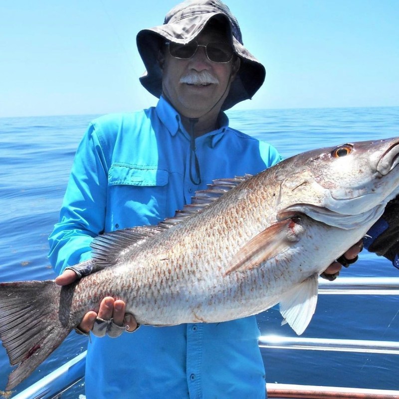 a person holding a fish in the water