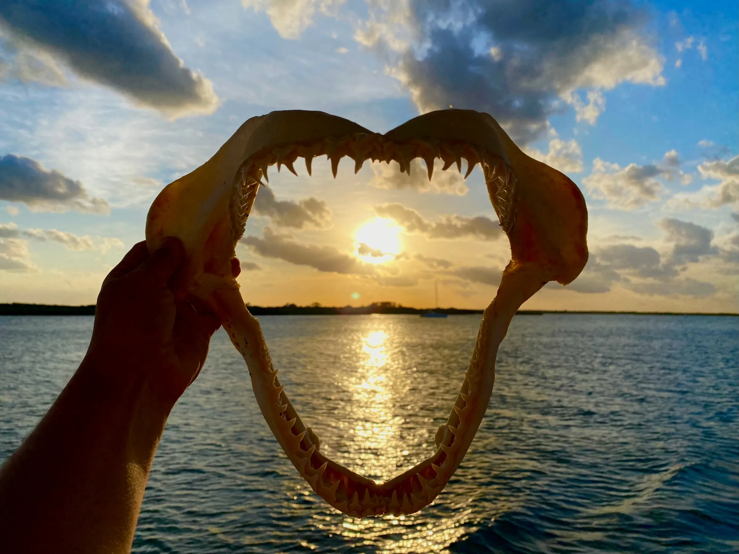 a man standing next to a body of water