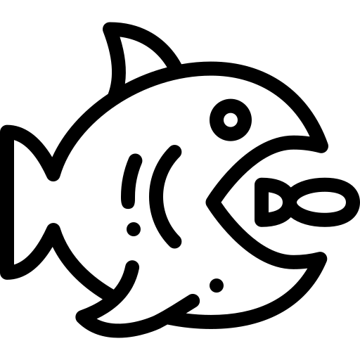 shape