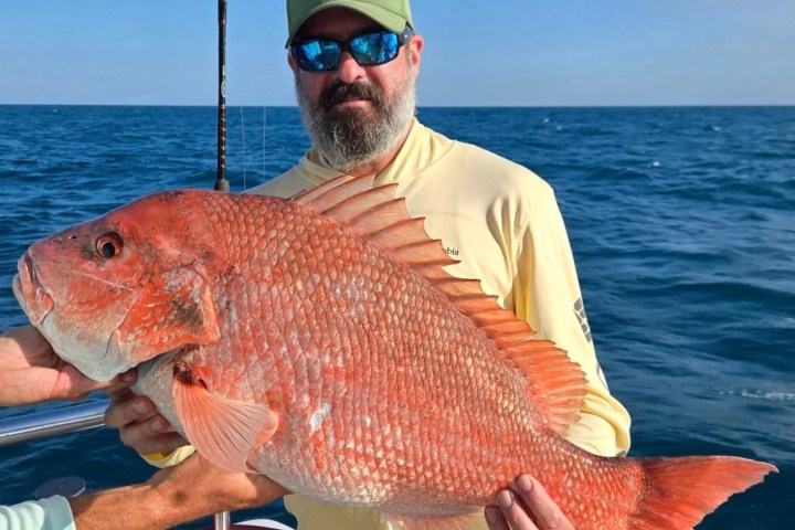 Person holding large red fish on a boat under clear blue sky.